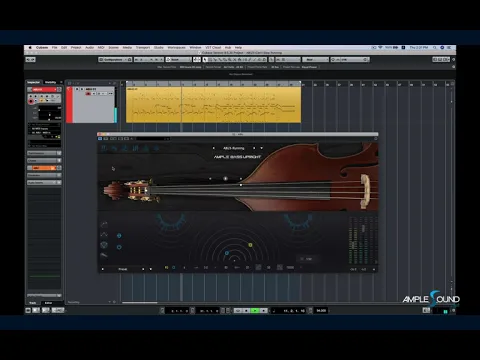 Ample Bass Upright product video