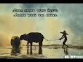 Download Lagu Story wa. aku iki sopo mung anake wong ra ndue