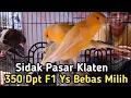 Download Lagu TUMBEN GURIH2 HARGA KENARI KLATEN HARI INI
