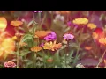 Download Lagu Aisha Aisha Loabin Govaa (karaoke)