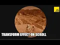 Transform Effect On Scroll JavaScript Tutorial