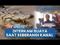 Download Lagu Pria Pasaman Diterkam Buaya saat Seberangi Kanal, Basarnas Lanjutkan Pencarian Potongan Tubuh Korban