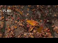 가을 냄새 몽글몽글 나는 날, 산책할 때 𝒎𝒐𝒐𝒅 터지는 뎁트 노래 모음 🎧🍂 | 가을 플레이리스트, Dept Playlist