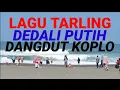 Download Lagu LAGU TARLING DEDALI PUTIH DANGDUT KOPLO