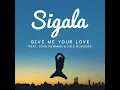 Give Me Your Love (feat. Nile Rodgers) - Sigala & John Newman