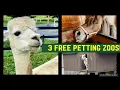 Free Things to Do in Lancaster County 3 Awesome FREE Petting Zoos