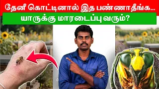 இப்படி இருந்தா விட்றாதீங்க! தேனீக்கள் பற்றிய அதிர்ச்சிகரமான உண்மைகள்