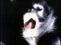 Mötley Crüe - Primal Scream (Uncensored) (Official Video)