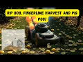 Download Lagu Fingerlime Harvest. Pig Poo and RIP Bob we will miss you