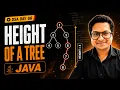 Height of a Tree Trees in JAVA DAY 66 of DSA