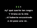MI DESTINO FUE QUERERTE KARAOKE CANTALA COMO FLOR SILVESTRE