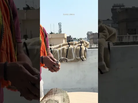 Azadi