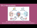 D3 3 Homeostasis - IB Biology New Curriculum 2025