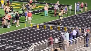 Scout The Dog Interrupts Hurdle Event Gets Hurdled