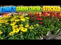 Lowe s Garden Center is STOCKED Fresh Flowers