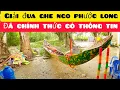 Lagu Chính Thức Có Thông Tin Giải Đua Ghe Ngo Xã Phước Long Tỉnh Cà Mau 22/12/2025