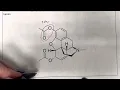 Organic Nomenclature Identifying all Functional Groups Practice 2