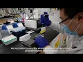 Lineage tracing approach Tool and Method Development at Whitehead Institute