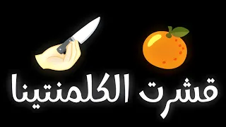 اغنية صرلي زمان مخجلش من وحدة تطلع في تريند التيك توك 2025 اغنية الكلمنتينا اغاني تيك توك الجديد  اغنية صرلي زمان مخجلش من وحدة تطلع في تريند التيك توك 2025 اغنية الكلمنتينا اغاني تيك توك الجديد