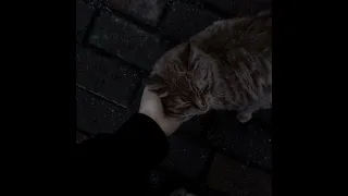 الله يعلم ما نشكو من الألم 