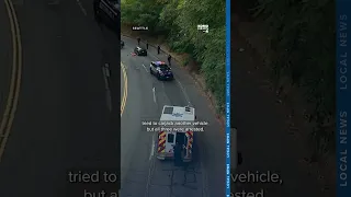 Robbery investigation led Seattle officers into ambush of gunfire report says