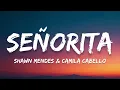 Shawn Mendes & Camila Cabello - Señorita (Lyrics)