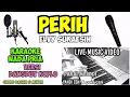 Lagu PERIH ELVY SUKAESIH KARAOKE KOPLO NADA PRIA