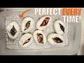 BEST WAY To INCUBATE Ball Python Eggs - FULL GUIDE