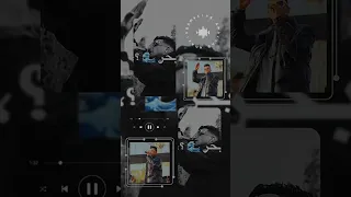 كلها عملالي بطير 