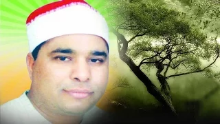 الشيخ محمد الليثي ال عمران كفر حمودة ههيا عام 1999 