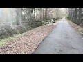 Gainesville-Hawthorn state Trail