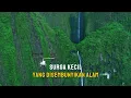 Download Lagu KETIKA ALAM MENYEMBUNYIKAN  KEAJAIBANNYA, AIR TERJUN PALING MEMPESONA DI DUNIA.