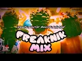 Download Lagu 90's Freaknic Booty Shake Mix (clean’ish)
