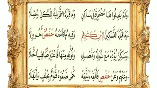 باب هاء الكناية    متن الشاطبية  مشاري العفاسي دندنها