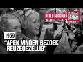 Download Lagu 📼 Amsterdamse jeugd bezoekt Artis (1959)