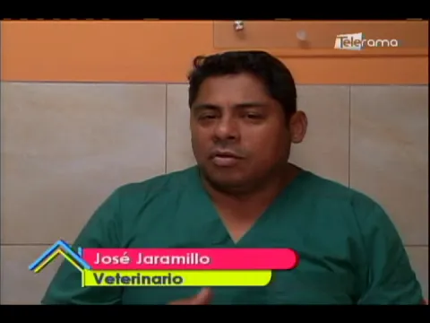 ¿Qué hacer si mi mascota es nerviosa?