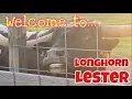 Welcome to LONGHORN Lester s