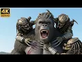 Lagu KING KONG vs PREDATOR | When the Predator Crosses the Line and Pays the Price