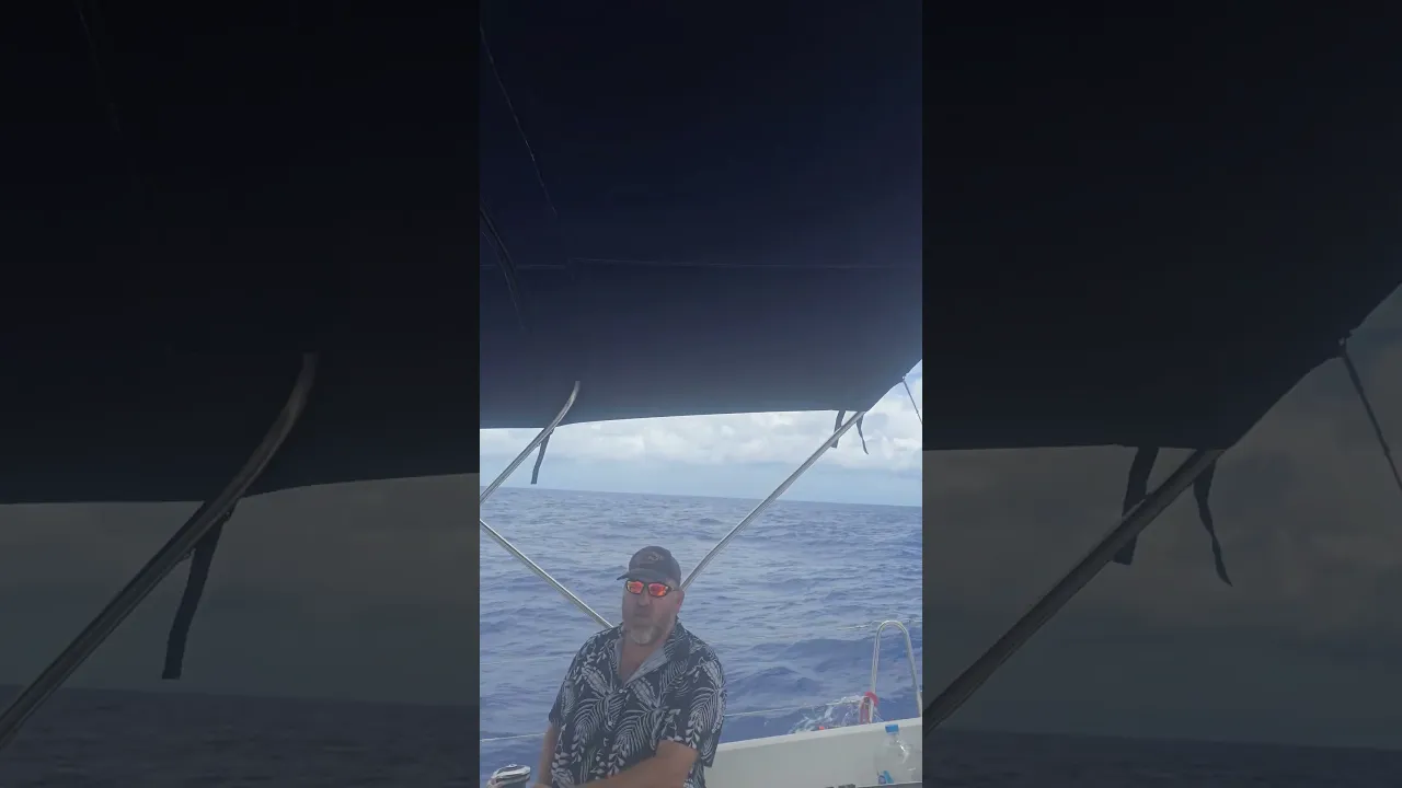 my average day at the office sailing