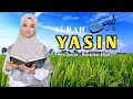 BACAAN MERDU SURAH YASIN - Kuntriksi Ellail