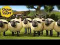 Best Sheep Episodes 🐑 Shaun the Sheep 🐑  - Cartoons for Kids 🐑 Full Episodes Compilation [1 hour]