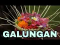 Download Lagu Galungan - Cinematic Backsound