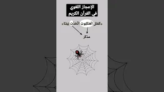 الإعجاز اللغوي في القرآن الكريم 