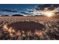 Download Lagu The Work of Tinker Bell? Mysterious 'Fairy Circles' Discovered