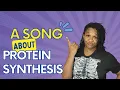 Protein Synthesis Song Understanding DNA to Proteins