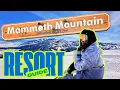 The Mammoth Mountain Experience 2025 Guide