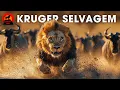 Download Lagu KRUGER SELVAGEM | Sobrevivência no coração selvagem da África do Sul #animaisselvagens