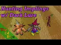 Using Dark Lure to Hunt Implings OSRS Impling Hunting Guide