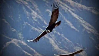 el c ndor pasa instrumental 