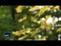 Great Outdoors Where to see the fall colors in Northeast Wisconsin